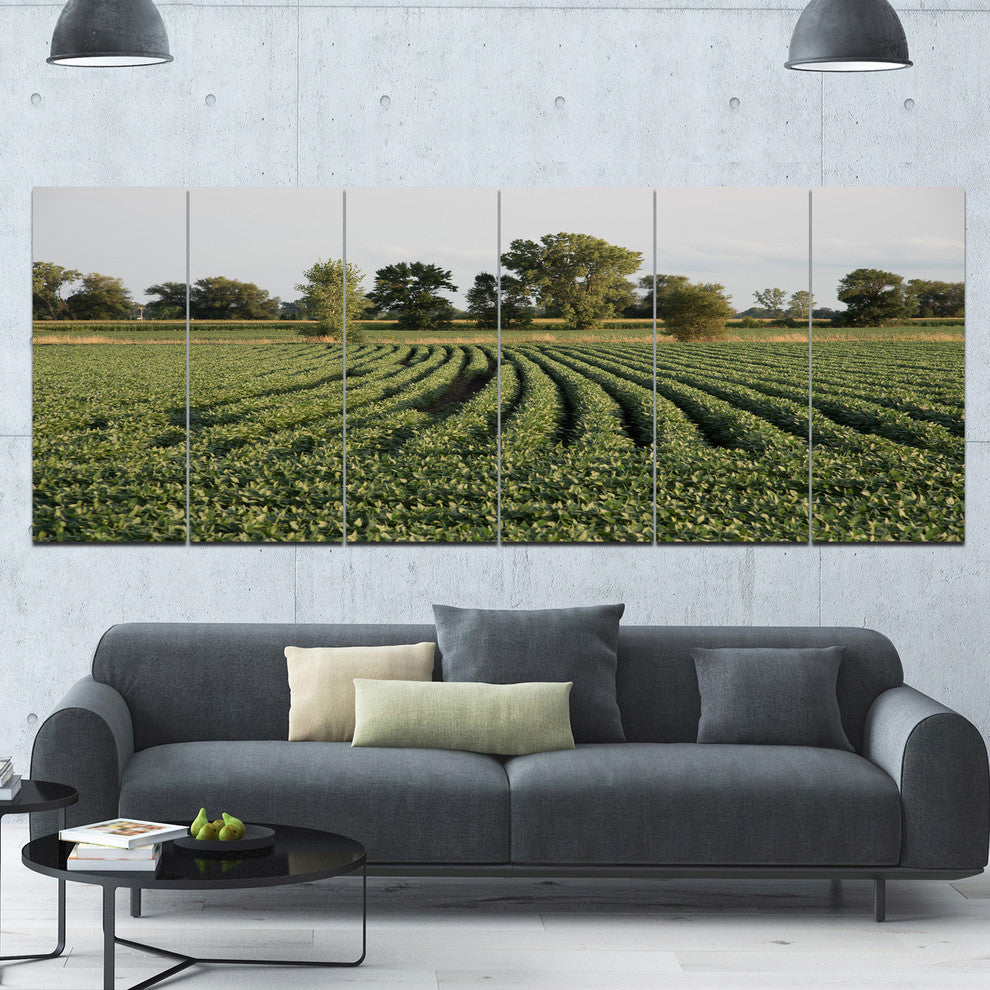 Wisconsin Soybean Field Rows, Landscape Canvas Art Print, 70"x28", 6 Panels