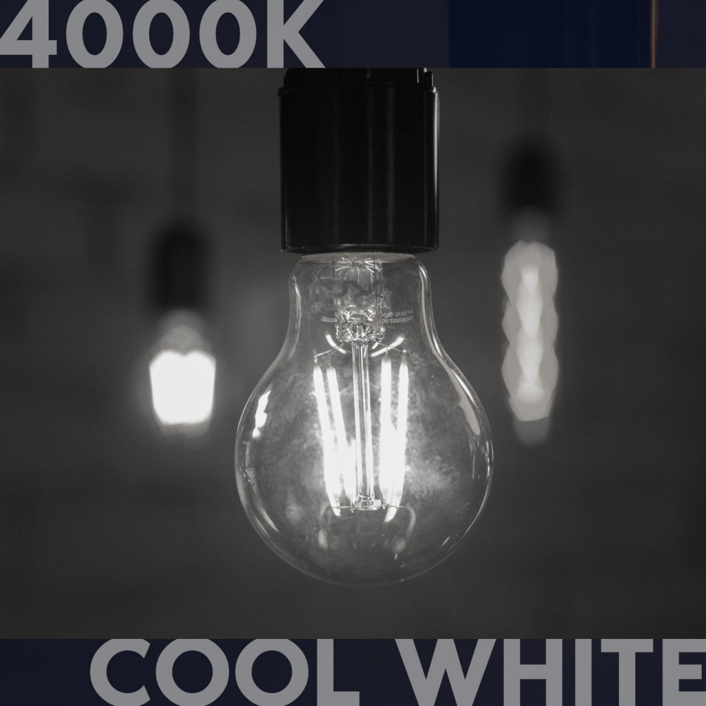 Luxrite Vintage A19 LED Light Bulb 1600LM 4000K Dimmable 12W Damp 2PK