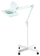 60" Energy Saving White Fluorescent Magnifying Floor Lamp
