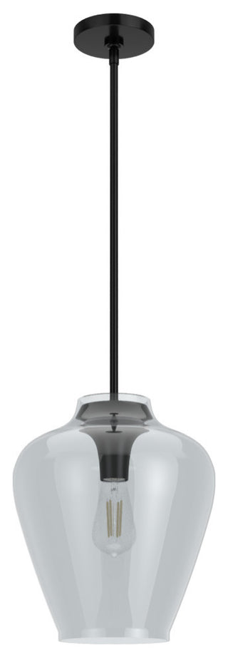 Hunter Vidria Matte Black 1 Light Pendant Ceiling Light Fixture