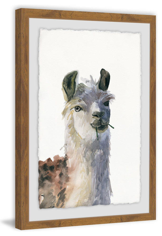 "Chewing Llama" Framed Painting Print, 12"x18"