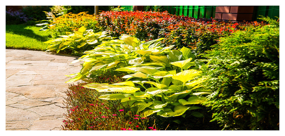 Modern Green Garden Design, Landscape Canvas Art Print, 60"x28"