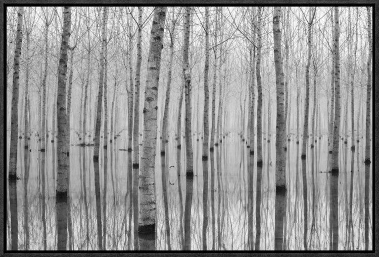 "Novembre 2014" Framed Canvas Giclee by Aglioni Simone, 23x16"