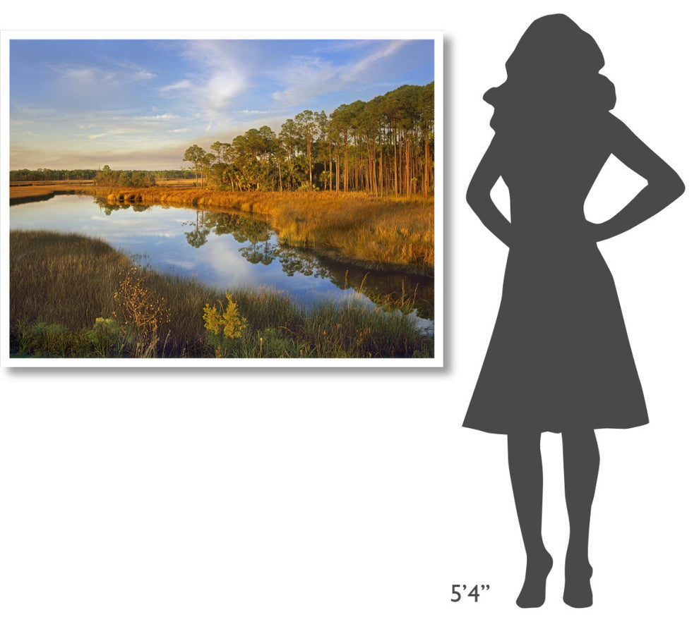 "Lake near Apalachicola, Florida" Digital Paper Print by Tim Fitzharris, 50"x38"