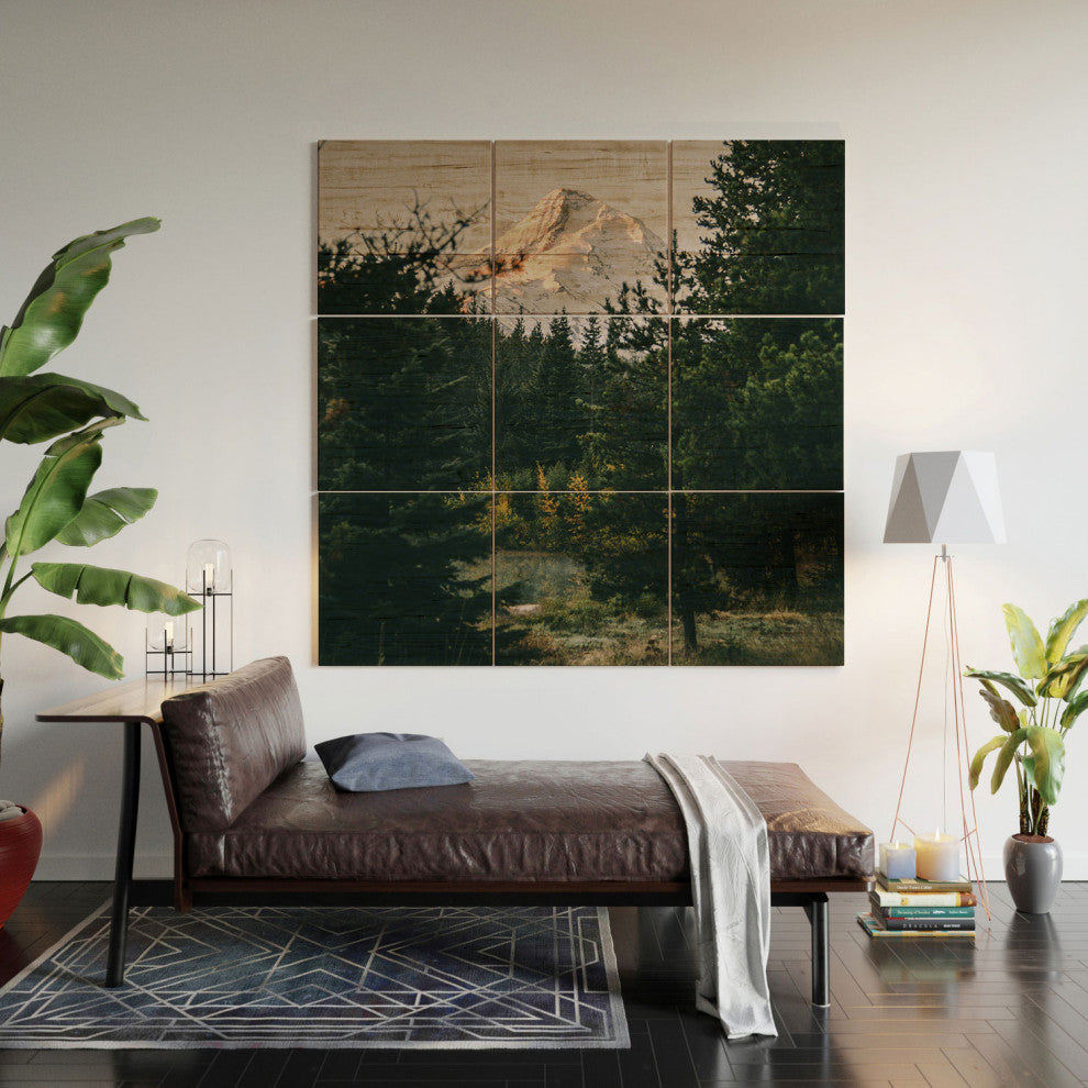 Hannah Kemp Mount Hood Xv Wood Wall Mural