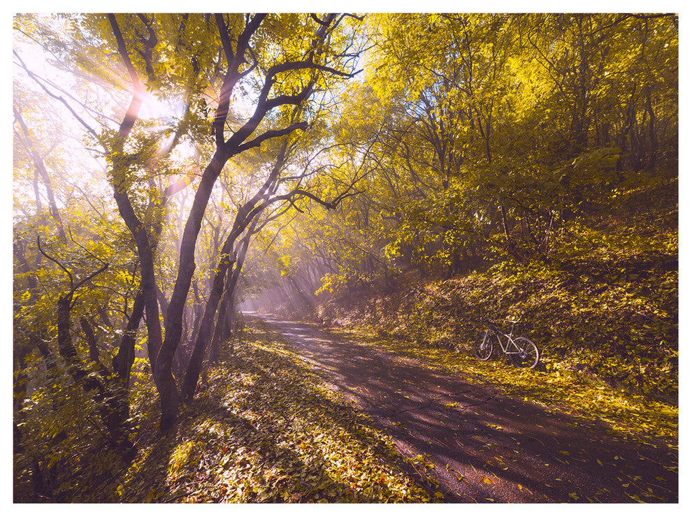 Bicycle Ride in Fall Forest, Landscape Canvas Art Print, 40"x30"