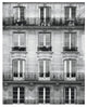 "Across the Street II" Digital Paper Print by Laura Marshall, 22"x26"