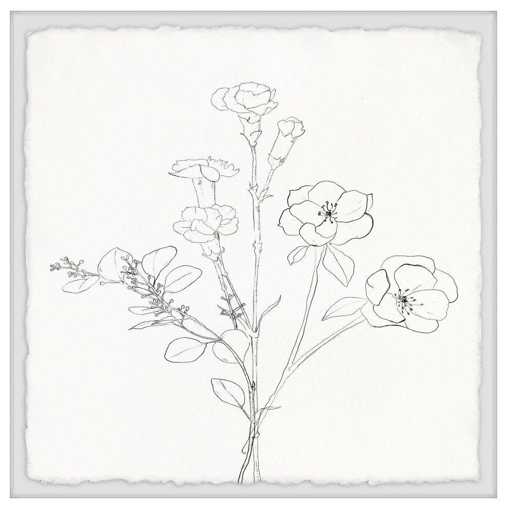 "Flower Sketch" Framed Painting Print, 32x32