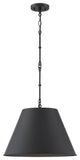 Savoy 7-132-1-89, Alden 1 Light Black Pendant
