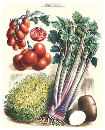 Vegetables; Tomato Varieties, Celery, and Potato- Canvas Poster 20" x 30"
