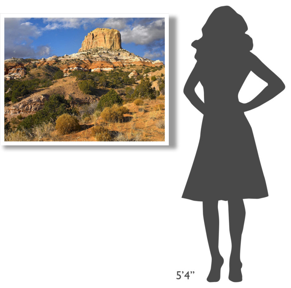 "Square Butte near Kaibito, Arizona" Paper Print by Tim Fitzharris, 42"x32"