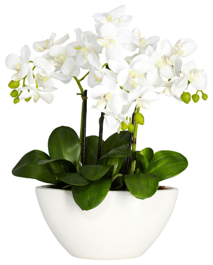 Phalaenopsis Silk Flower Arrangement