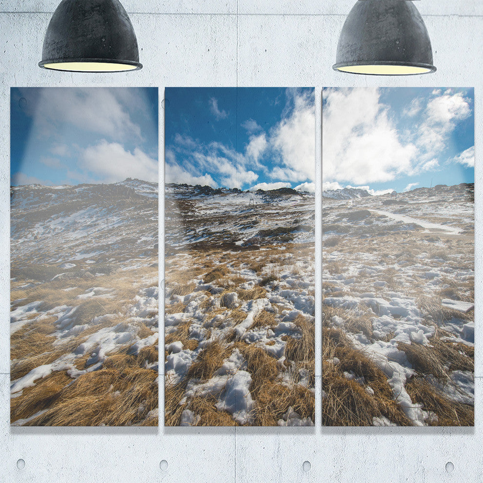"Top of Kosciuszko National Park" Metal Wall Art, 3 Panels, 36"x28"