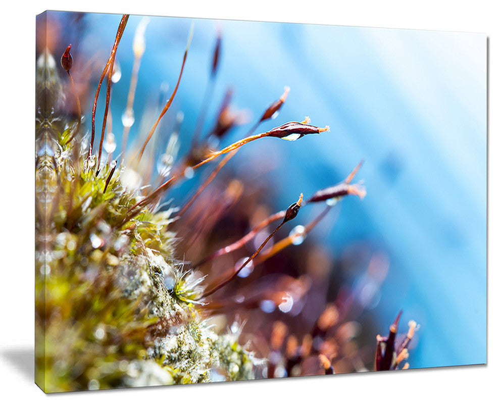 "Abstract Moss Flowers in Summer Spring" Landscape Wall Art, 40"x30"