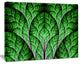 Exotic Green Biological Organism, Oversized Abstract Canvas Art Print, 60x40