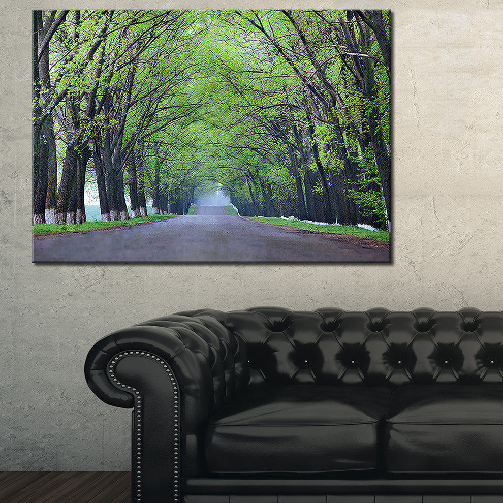 "Arched Trees Over Country Road" Landscape Canvas Photo Print, 32"x16"