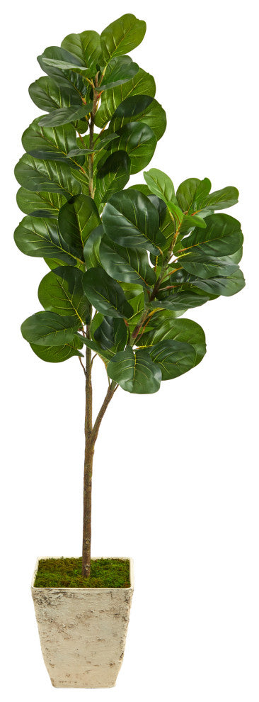 5.5' Fiddle leaf Fig Artificial Tree, Country White Planter