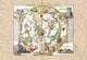 The South Celestial Sky- Canvas Poster 20" x 30"