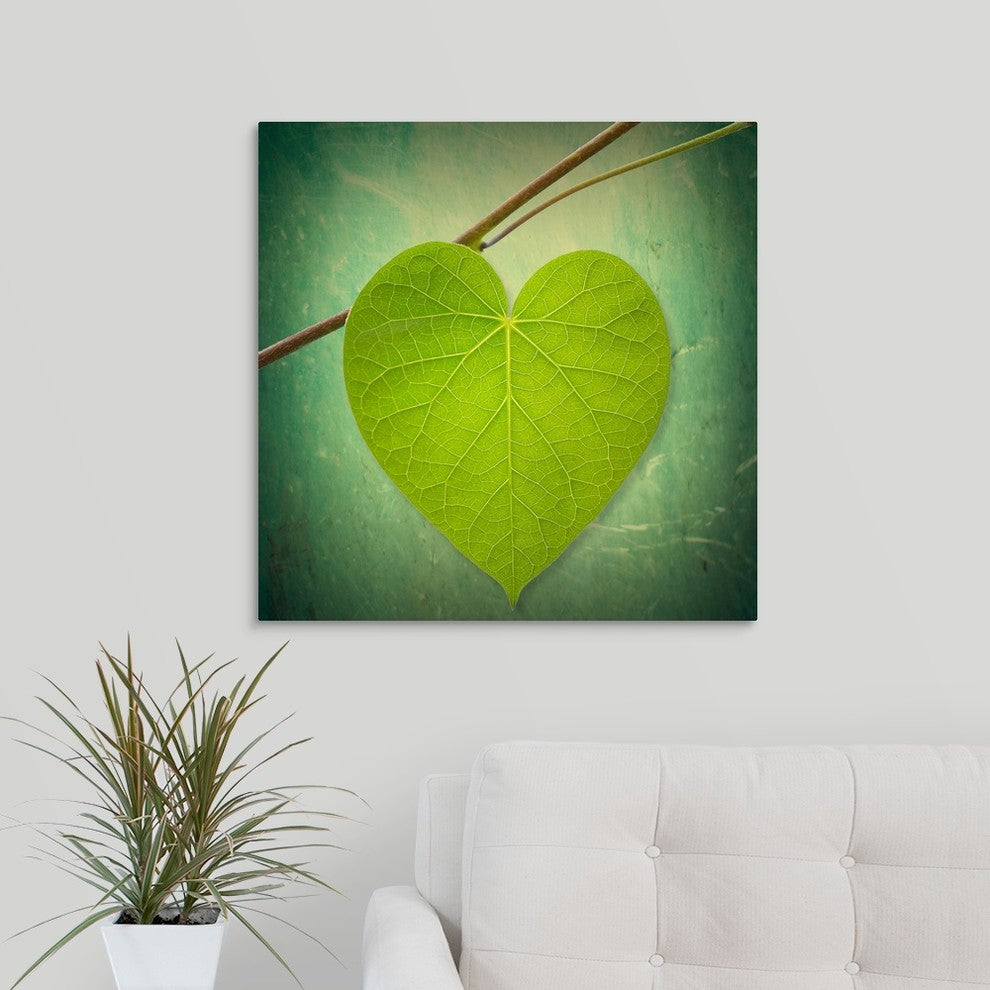 "Nature Lover" Wrapped Canvas Art Print, 24"x24"x1.5"