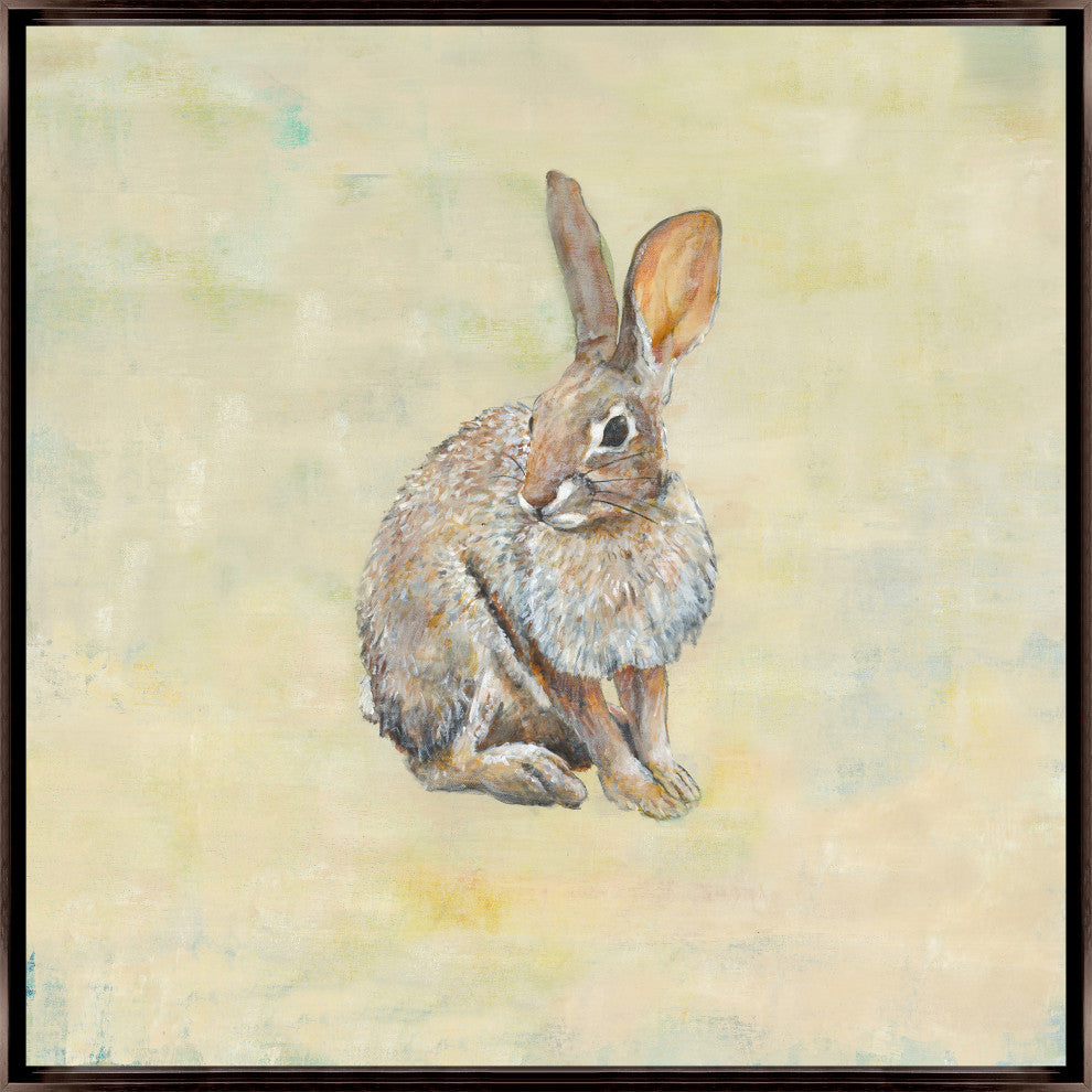 24x24 Cottontail, Framed Artwork, Espresso