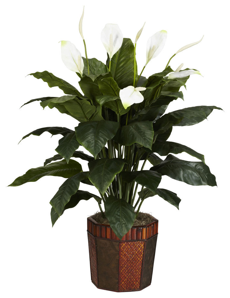 Spathyfillum With Vase Silk Plant