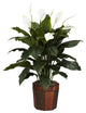 Spathyfillum With Vase Silk Plant