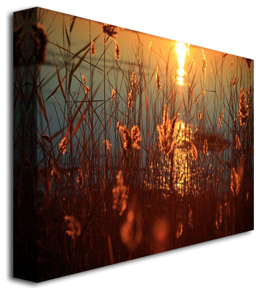 'Summer Nights' Canvas Art by Beata Czyzowska Young