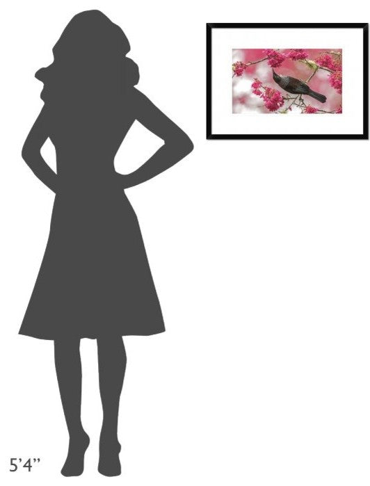 "Tui 39" Framed Digital Print by Kurien Yohannan, 24"x17"