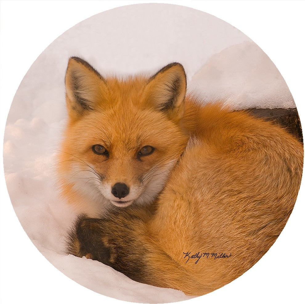 Andreas Kathy Miller Fox Trivet, 8" Round