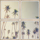 Palm Cool Breeze Quadriptych, 4-Piece Set, 24x24 Panels