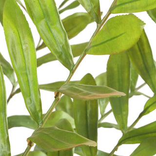 Uttermost Zamia Palm Accent, Planter