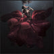 "The Lady In Red" Framed Canvas Giclee by Martha Suherman, 37x37"