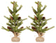 Pine Tree with Burlap Base, Set of 2