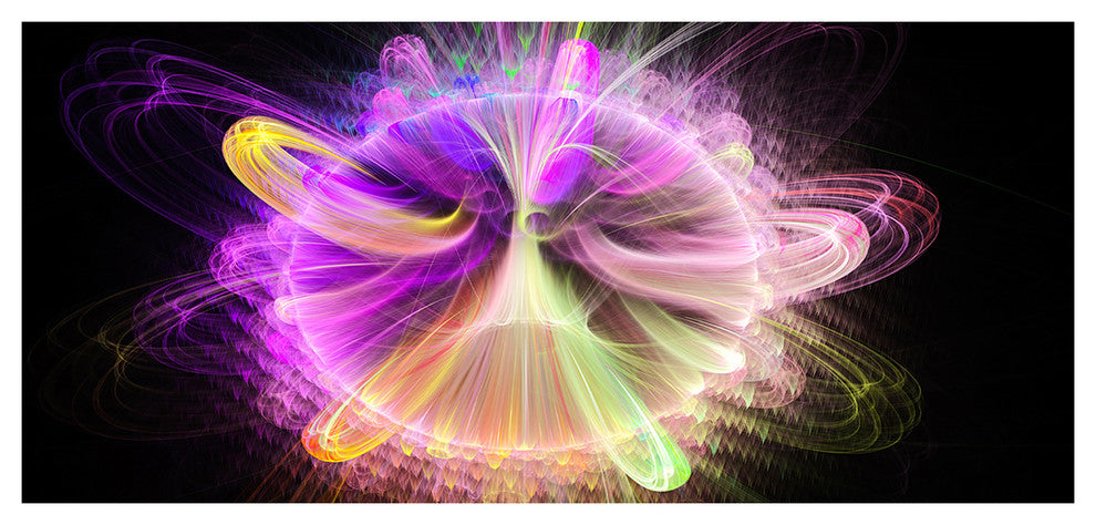 Purple Circle with Amazing Curves, Large Floral Canvas Art Print, 60"x28"