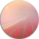 Sunrise Over Rows Of Tulips, Landscape Round Metal Wall Art, 23"