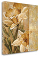 "Champagne Daffodils I" By Linda Thompson, Giclee Print on Gallery Wrap Canvas