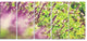 Beautiful Mint Flowers in Garden, Floral Canvas Art Print, 60"x28", 5 Panels