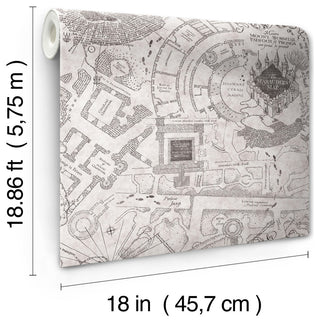 Grey Harry Potter Marauder's Map Peel & Stick Wallpaper