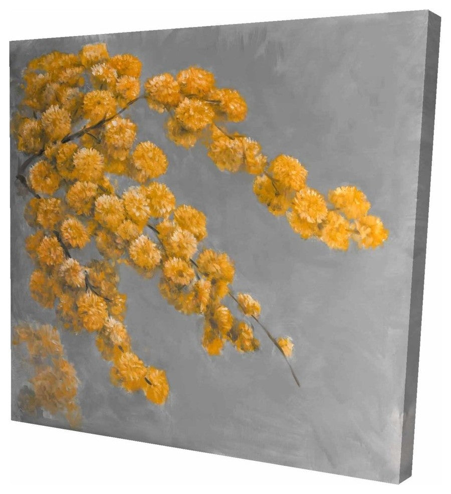Golden Wattle Plant With Flowers, Fine Art Gallery Wrapped Canvas, 24"x24"