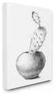 Stupell Ind. Cactus Graphite Drawing Canvas Wall Art, 16x20