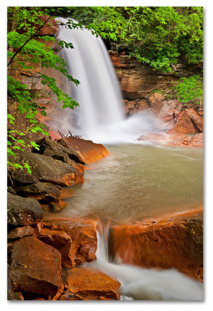 Michael Blanchette 'Douglas Falls' Canvas Art, 24x16