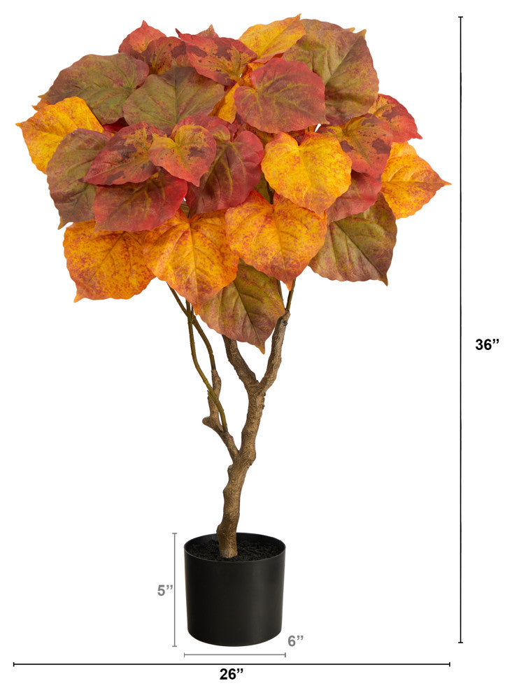 3' Autumn Umbrella Ficus Tree