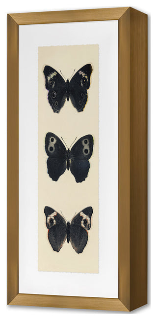 Flutter 5 Fine Art Print, Gold, 18"x8"