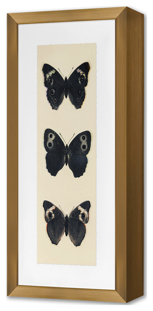 Flutter 5 Fine Art Print, Gold, 18"x8"