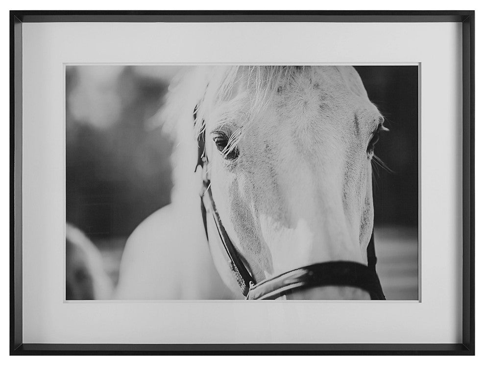 Uttermost Eyes On The Prize Framed Print