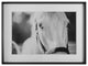Uttermost Eyes On The Prize Framed Print