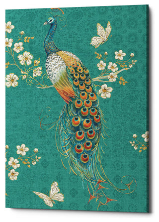 Ornate Peacock XD' by Daphne Brissonnet, Giclee Canvas Wall Art, 40"x60"