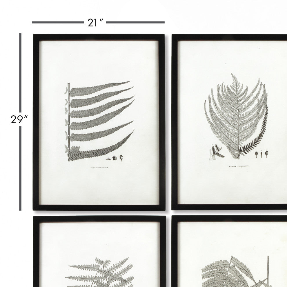 6-Piece Framed Gray-Tone Fern Print Set