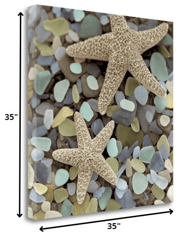 11" Two Starfish and Seaglass 4 Giclee Wrap Canvas Wall Art