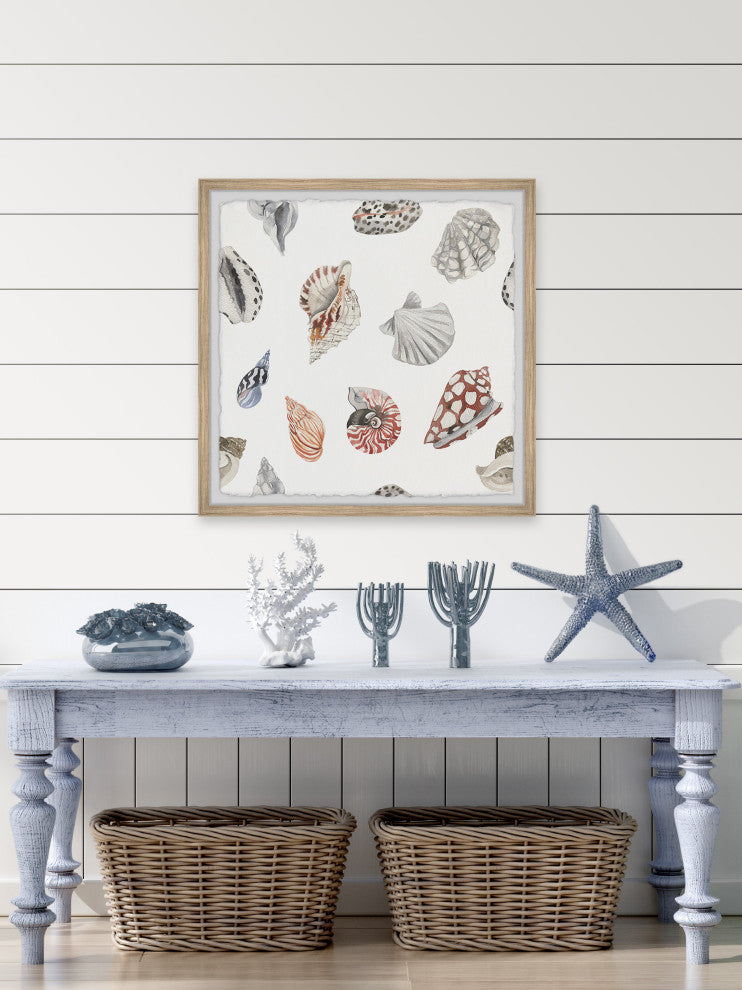 "Classic Seashells" Framed Painting Print, 24x24